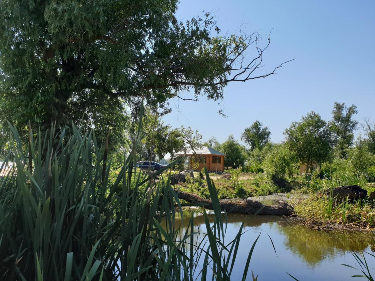 Kambodzha Na Dynae Villa Vylkove Exteriör bild